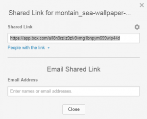 Box share feature