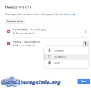 Google Drive Manage Versions