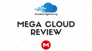 Mega Review