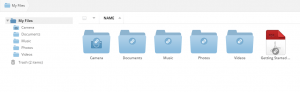 MediaFire Interface