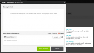 pCloud Business Sharing