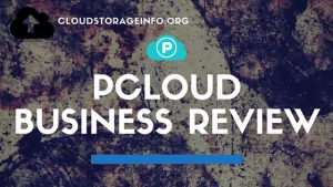 pCloud Cloud Storage Business Review