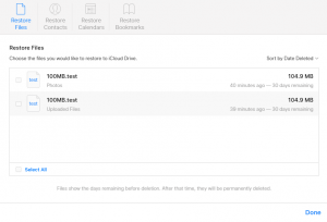 iCloud Drive Trash Bin