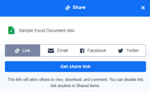 Amazon Drive Review Share File