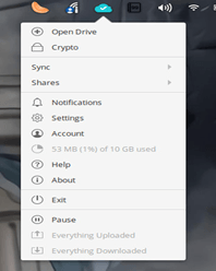 How To Use pCloud Sync