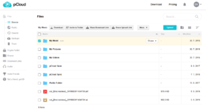 pCloud User Interface