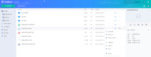 FlipDrive Review Interface