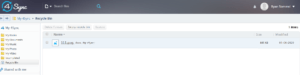 4Sync Review - Recycle Bin