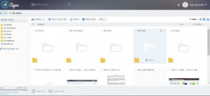 4Sync Review - Thumbnail View