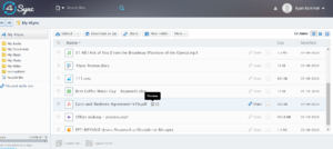 4Sync Review - User Interface & Preview Options