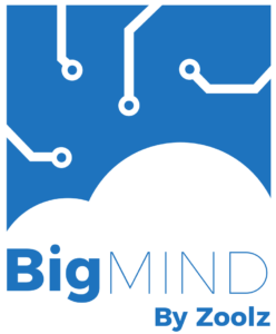 BigMIND Logo
