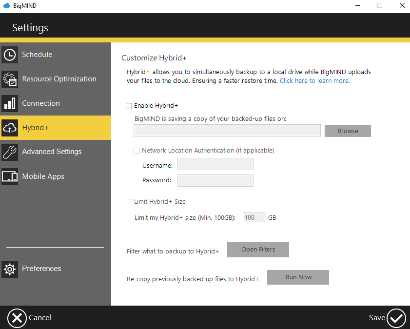 BigMIND Review Hybrid Backup
