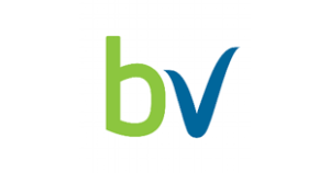 BolehVPN Review - Logo 1