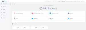 CloudAlly Review Initial Interface