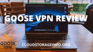 GOOSE VPN Review - Featured Image