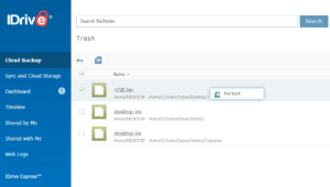IDrive Review Trash