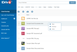 IDrive Review User Interface
