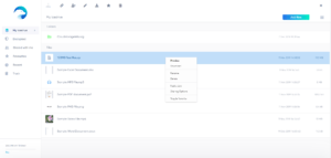 Icedrive Review List View
