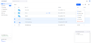 Internxt Review User Interface