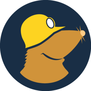Mullvad VPN Review - logo