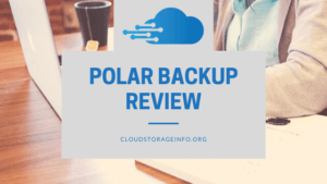 Polar Backup Review
