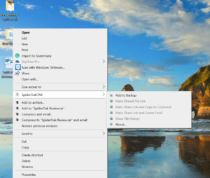 SpiderOak Review - backup 4