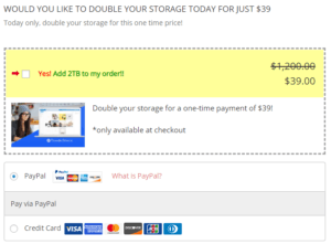 ThunderDrive Review Pricing 2