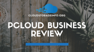 pCloud Business Review