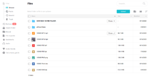 pCloud Review Interface