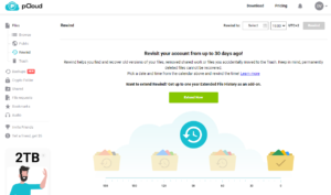 pCloud Review Rewind 2