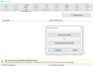 pCloud Review Sync
